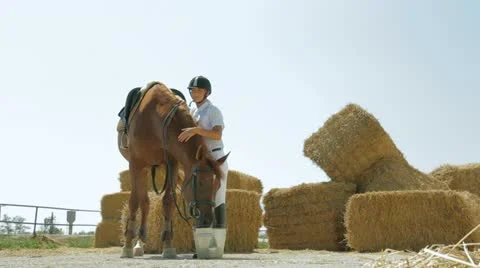 Trainer Waters Horse 스톡 동영상 22290803