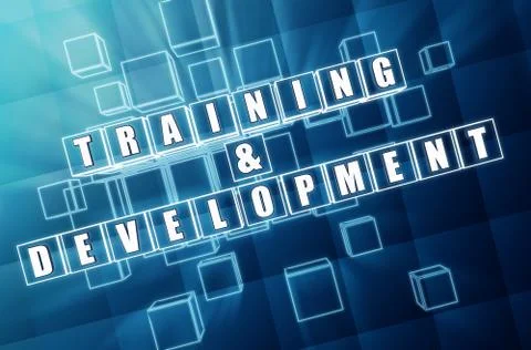 Training and development in blue glass cubes Stock Illustration