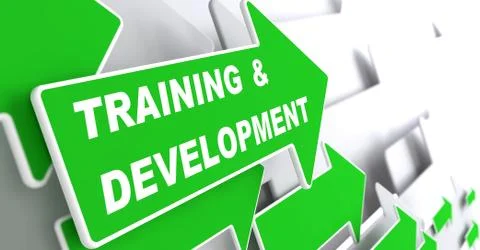 Training and Development. Education Concept. Illustrazione stock