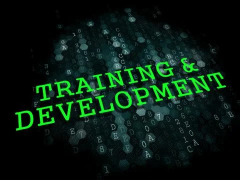 Training and Development. Educational Concept. Stock Illustration