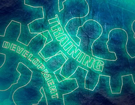 Training and Development text on the Gears. Stock Illustration