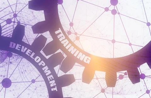 Training and Development text on the gears. Stock Illustration