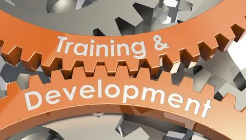 Training and development word on gears Stock Illustration