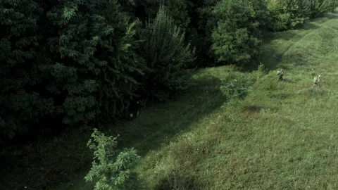 Training of the Armed Forces of Ukraine at the training ground. Combat mission Stock Footage 234617622