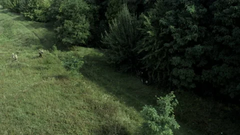 Training of the Armed Forces of Ukraine at the training ground. Combat mission Stock Footage 234617667