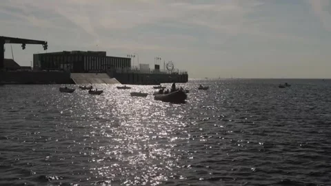 Training boats in the harbor Stock Footage 300031430