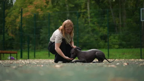 Training bond developing, Gentle guidance forming trust, Establishing caring Stock Footage 329495047