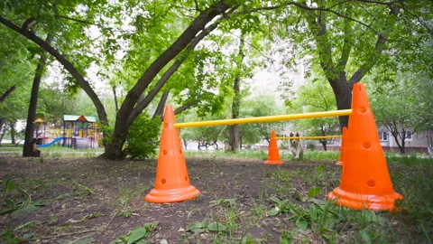 Training a border collie to jump over barriers Stock Footage 109448359