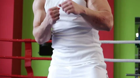 Training boxer Stock Footage 58055169