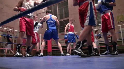Training of boxers Video stock 10582608