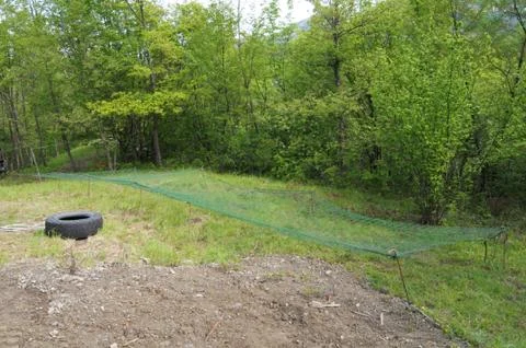 Training camp Foto stock