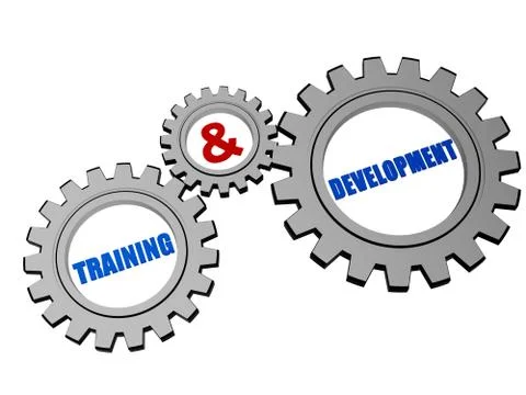 Training &amp; development in silver grey gears Stock Illustration