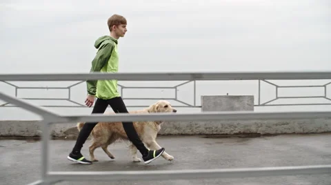 Training with Dog Stock Footage