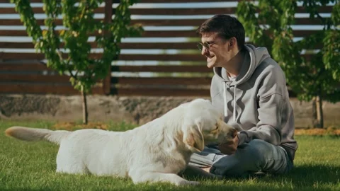 Training a dog by a guy, sitting on the grass, treats her with a treat. Stock Footage 248081493
