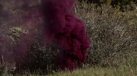 Training explosives on a hillside. Stock Footage 52703674