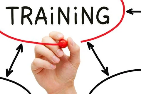 Training Flow Chart 库存照片