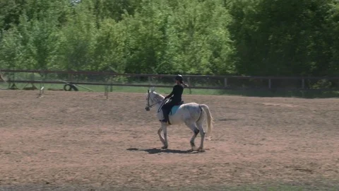 Training for horse riding Stock Footage 76125931