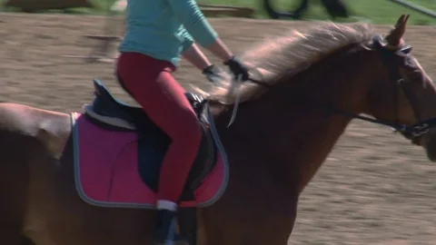Training for horse riding Stock Footage 76126132