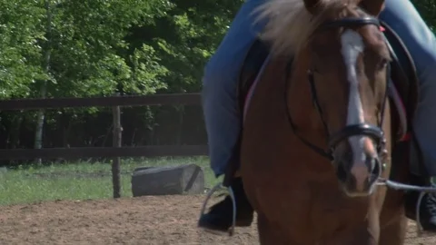 Training for horse riding Stock Footage 76127156