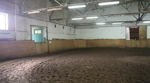 Training with horses 動画素材 5386787