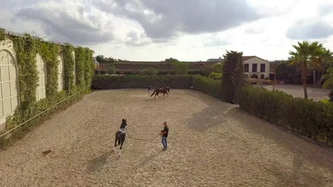 Training Horses Stock Footage 126595789