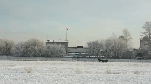 Training horses in winter in a sleigh Stock Footage 152118855