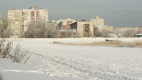 Training horses in winter in a sleigh Stock Footage 152118988