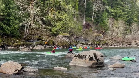 Training of the kayak team on the mountain river. Kayaking on the Snoqualmie Stock Footage 242987405