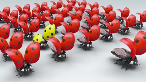 Training of ladybugs squad with an unruly element Stock Footage 144107305