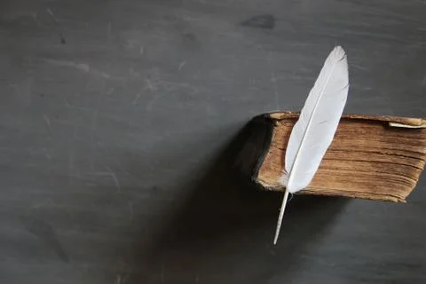 Training, learning, education, or study idea Stock Photos