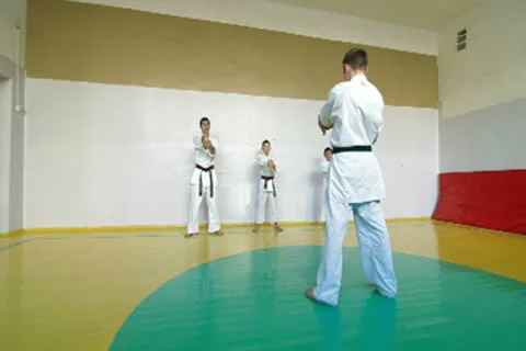 Training martial arts Stock Footage