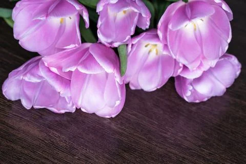 Training, master classes and floristry courses making a bouquet. Beautiful ro Foto stock