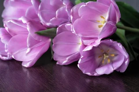 Training, master classes and floristry courses making a bouquet. Beautiful ro Foto stock