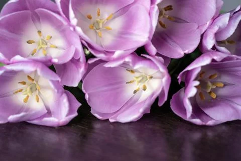 Training, master classes and floristry courses making a bouquet. Beautiful ro Foto stock
