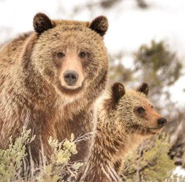 Training Mode Stock-Fotos