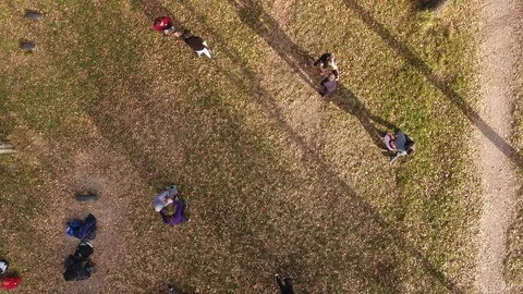 Training in the park Stock Footage 99200718