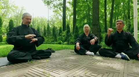 Training in the park. Group of people practicing the elements of qigong. 4K Stockbeeldmateriaal 65416750