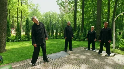 Training in the park. Group of people practicing the elements of qigong. 4K 스톡 동영상 65417157