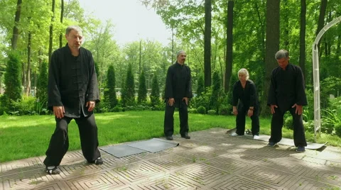 Training in the park. Group of people practicing the elements of qigong. 4K Stock Footage 65840742