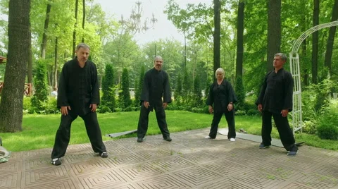Training in the park. Group of people practicing the elements of qigong. 4K Vídeos de archivo 65845628