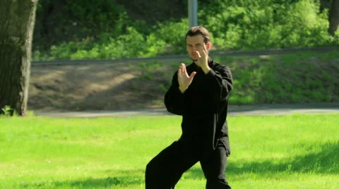 Training in the park. Man practicing elements of tai chi. HD 库存影片 65214757