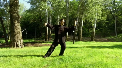 Training in the park. Man practicing elements of tai chi. 4K 動画素材 65254766