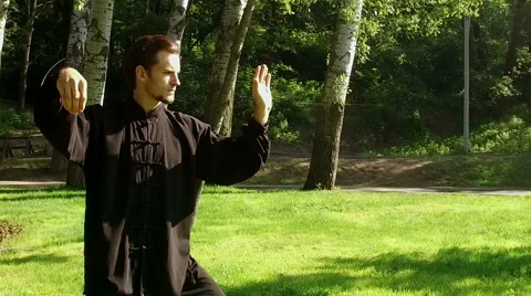 Training in the park. Man practicing elements of tai chi. Slow motion. HD 库存影片 65312513