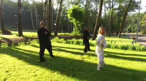 Training in the park. Workout. Group of four people practicing qigong. 4K Vidéo 67194640