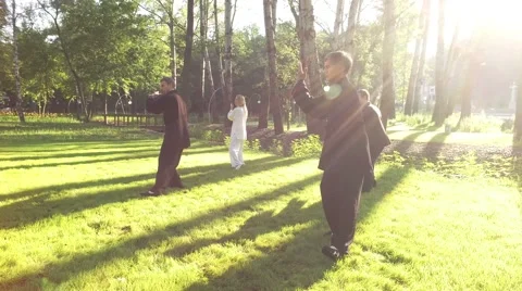 Training in the park. Workout. Group of four people practicing qigong. 4K Video stock 67195641
