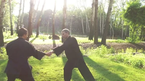 Training in the park. Workout. Two men practicing elements of qigong. 4K Stock-Footage 66541766