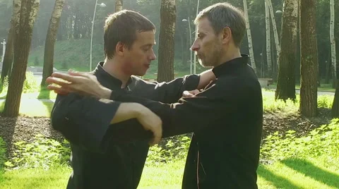 Training in the park. Workout. Two men practicing qigong. Slow motion. HD Video stock 67091945