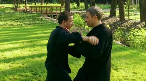 Training in a park. Workout. Two men practicing qigong. Slow motion. HD Stock Footage 67093209