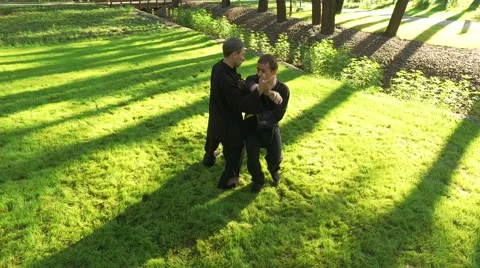 Training in the park. Workout. Two men practicing elements of qigong. 4K Video stock 67198915