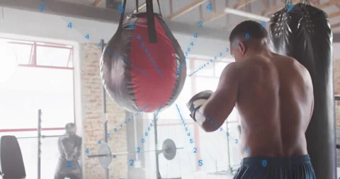 Training with punching bag, boxer with data processing animation overlay Stock Footage 305716649